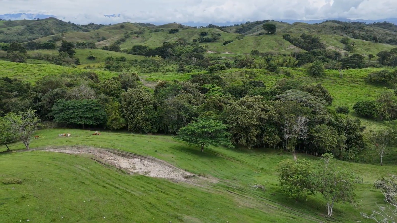 Vista del terreno